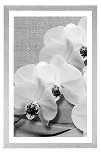 Plakat z passe-partout orchidea na płótnie w czarno-białym kolorze