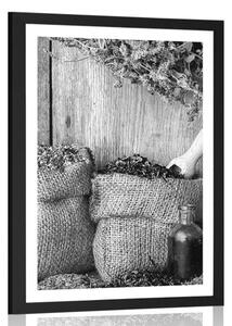 Plakat z passe-partout lecznicze zioła w czerni i bieli