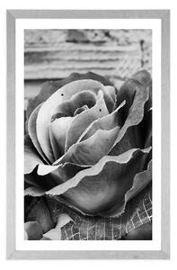 Plakat z passe-partout elegancka róża w stylu vintage w czerni i bieli