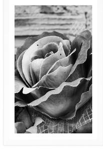 Plakat z passe-partout elegancka róża w stylu vintage w czerni i bieli