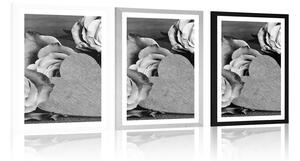 Plakat z passe-partout Walentynki róże w czerni i bieli