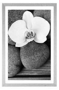 Plakat z passe-partout kamienie wellness i orchidea na drewnianym tle w czerni i bieli