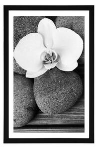 Plakat z passe-partout kamienie wellness i orchidea na drewnianym tle w czerni i bieli