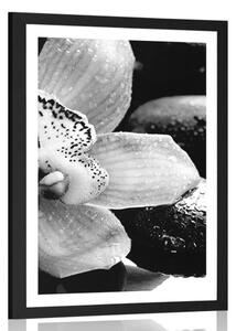 Plakat z passe-partout egzotyczna orchidea w czerni i bieli