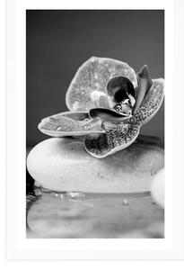 Plakat z passe-partout orchidea i Zen kamienie w czerni i bieli