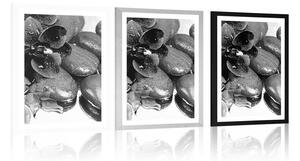 Plakat z passe-partout kwitnąca orchidea i kamienie wellness w czerni i bieli