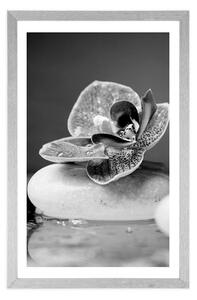 Plakat z passe-partout orchidea i Zen kamienie w czerni i bieli