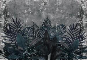 Fototapeta - Rośliny w ciemności (196x136 cm)