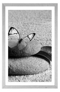 Plakat z passe-partout niebieski motyl na kamieniu Zen w czerni i bieli