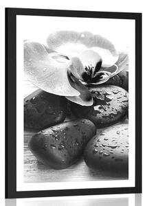 Plakat z passe-partout piękna gra kamieni i orchidei w czerni i bieli