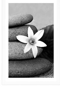Plakat z passe-partout kwiat i kamienie na piasku w czerni i bieli