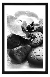 Plakat z passe-partout piękna gra kamieni i orchidei w czerni i bieli