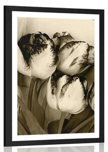 Plakat z passe-partout wiosenne tulipany w sepiowym kolorze