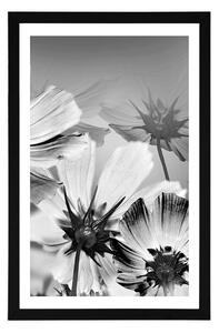 Plakat z passe-partout kwiaty ogrodowe w czerni i bieli