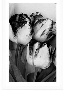 Plakat z passe-partout wiosenne tulipany w czerni i bieli