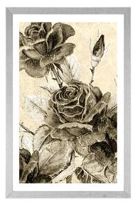 Plakat z passe-partout vintage bukiet róż w sepiowym kolorze