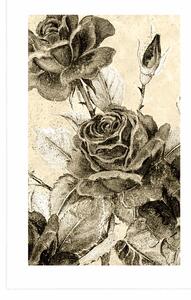 Plakat z passe-partout vintage bukiet róż w sepiowym kolorze