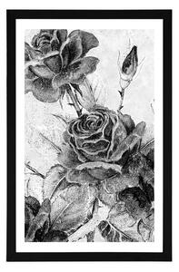 Plakat z passe-partout vintage bukiet róż w czerni i bieli