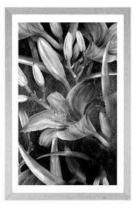 Plakat z passe-partout kwiat lilii w czerni i bieli