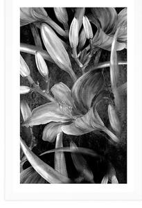 Plakat z passe-partout kwiat lilii w czerni i bieli