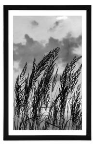 Plakat z passe-partout trawa w czarno-białym kolorze