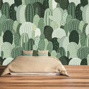 Fototapeta - Kaktusowy raj (196x136 cm)