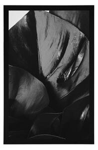 Plakat liść monstery w czerni i bieli