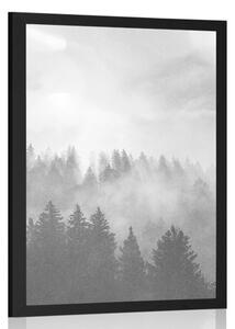 Plakat mgła nad lasem w czerni i bieli