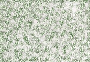 Fototapeta - Ażurowe liście, zielona (196x136 cm)