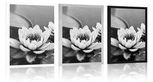 Plakat kwiat lotosu w jeziorze w czerni i bieli