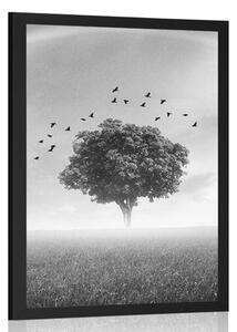 Plakat samotne drzewo na łące w czerni i bieli