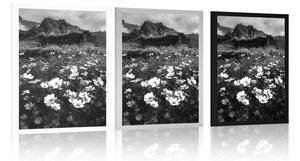 Plakat łąka kwitnących kwiatów w czarno-białym wzorze