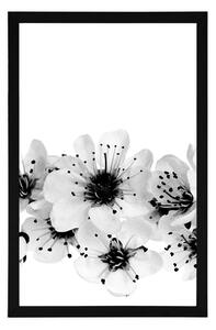 Plakat kwiaty wiśni w czerni i bieli