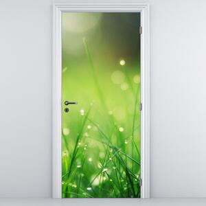 Fototapeta na drzwi - Rosa na trawie (95x205cm)