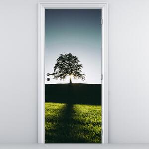 Fototapeta na drzwi - Drzewo (95x205cm)