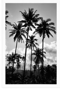 Plakat palmy kokosowe na plaży w czarno-białym kolorze