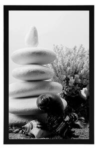 Plakat kamienie Zen z muszelkami w czerni i bieli