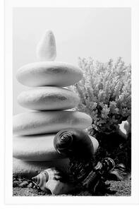 Plakat kamienie Zen z muszelkami w czerni i bieli