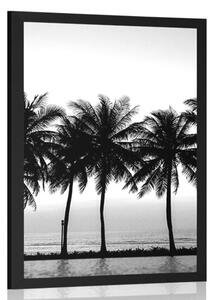 Plakat zachód słońca nad palmami w czerni i bieli