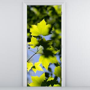 Fototapeta na drzwi - Liście klonu (95x205cm)