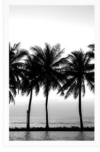 Plakat zachód słońca nad palmami w czerni i bieli