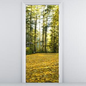 Fototapeta na drzwi - Las jesienią (95x205cm)