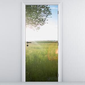 Fototapeta na drzwi - Letnia łąka (95x205cm)