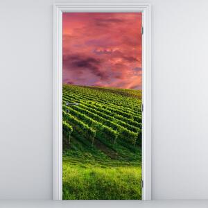 Fototapeta na drzwi - Winnica z kolorowym niebem (95x205cm)