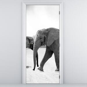 Fototapeta na drzwi - Czarno - białe słonie (95x205cm)