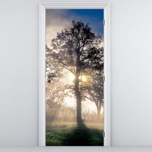 Fototapeta na drzwi - Drzewo we mgle (95x205cm)