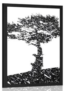 Plakat sylwetka drzewa