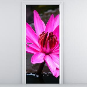 Fototapeta na drzwi - Różowy kwiat (95x205cm)
