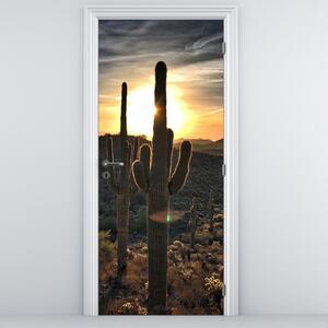 Fototapeta na drzwi - Kaktusy w słońcu (95x205cm)