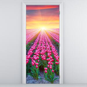 Fototapeta na drzwi - Pole tulipanów ze słońcem (95x205cm)